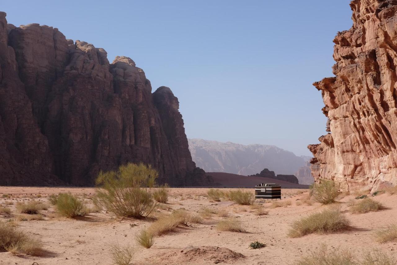 Wadirum Momoo Wadi Rum Exterior foto